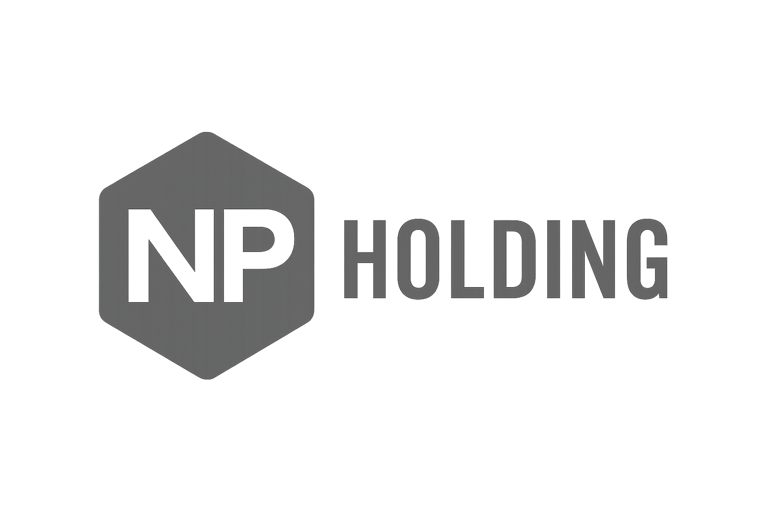 NP Holding logo